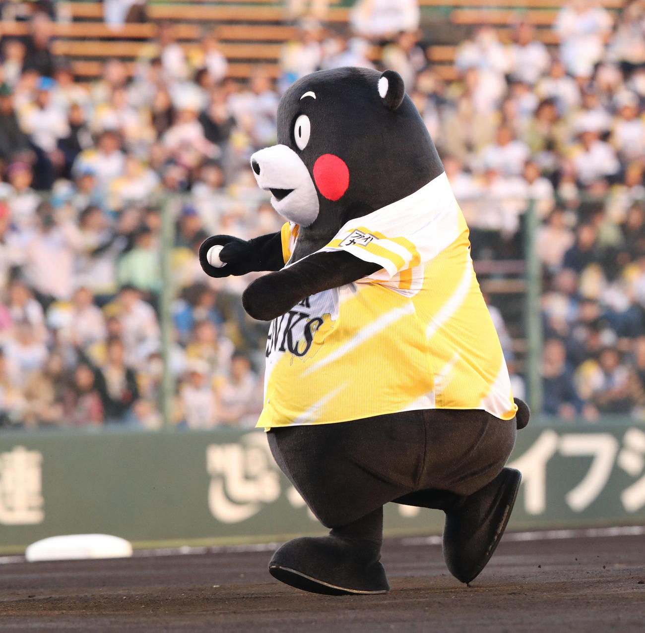 ソフトバンク対日本ハム　始球式に登板した熊本の最強アイドル・くまモン！！投球も見事！（撮影・梅根麻紀）