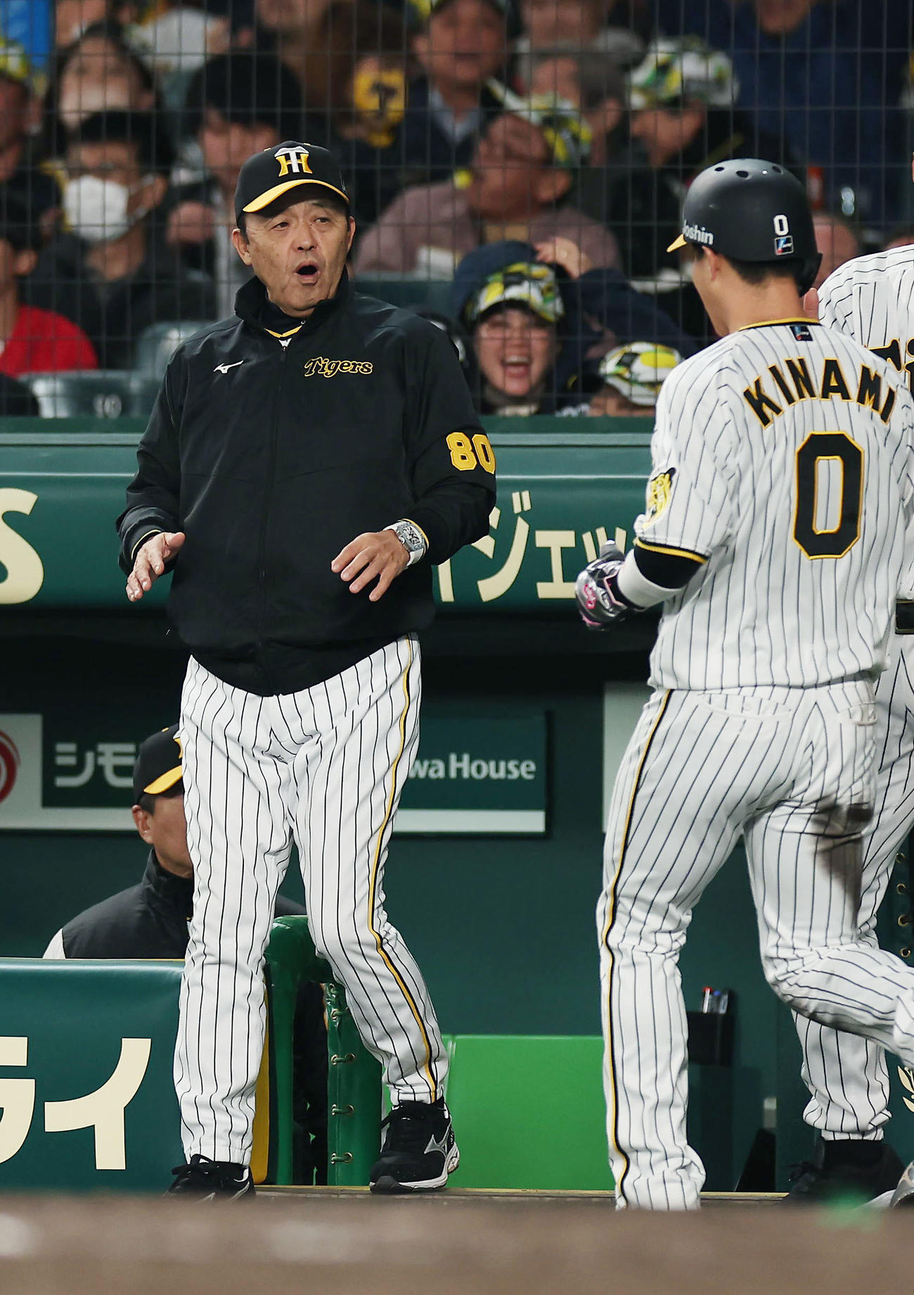 阪神対広島　5回裏阪神1死二塁、近本の適時打で生還した木浪（右）を迎える岡田監督（撮影・前田充）