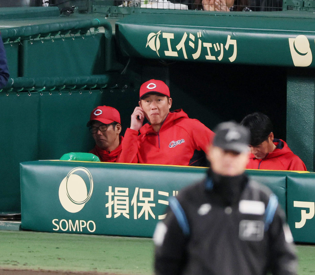 阪神対広島　2回表を終えベンチからグラウンドを見つめる新井監督（撮影・加藤哉）