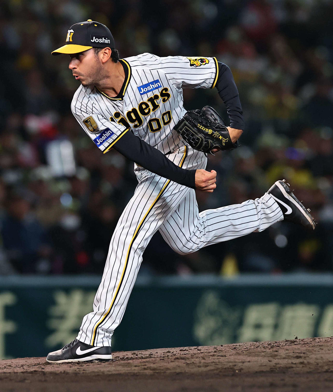 阪神対広島　阪神2番手のゲラ（撮影・上田博志）