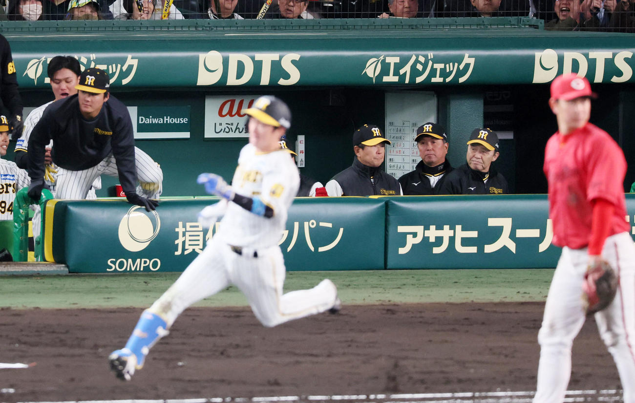 阪神対広島　5回裏阪神1死二塁、右適時打を放った近本をベンチから見る岡田監督（右から2人目）撮影・加藤哉）