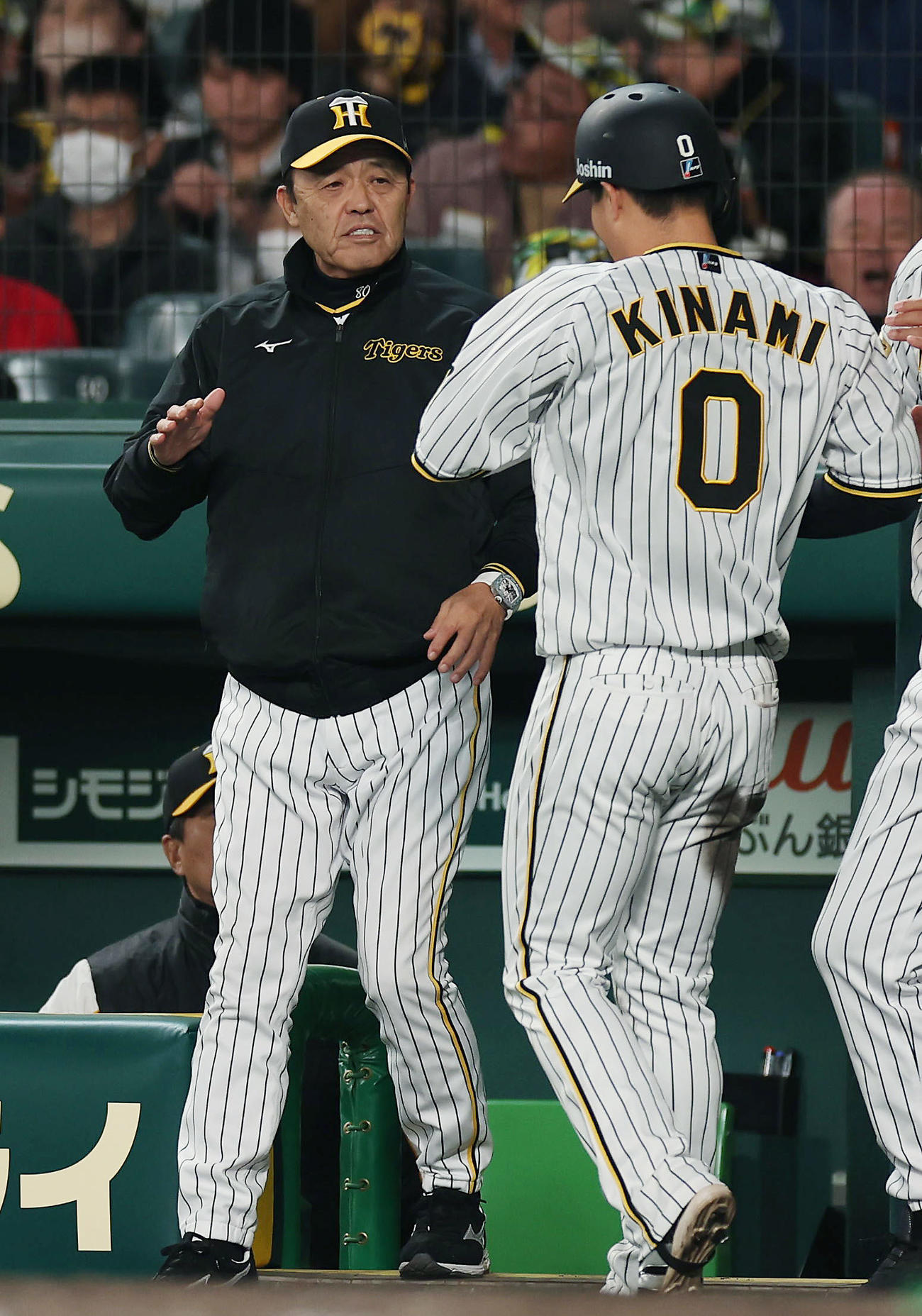 阪神対広島　5回裏阪神1死二塁、近本の適時打で生還した木浪（右）を迎える岡田監督（撮影・前田充）