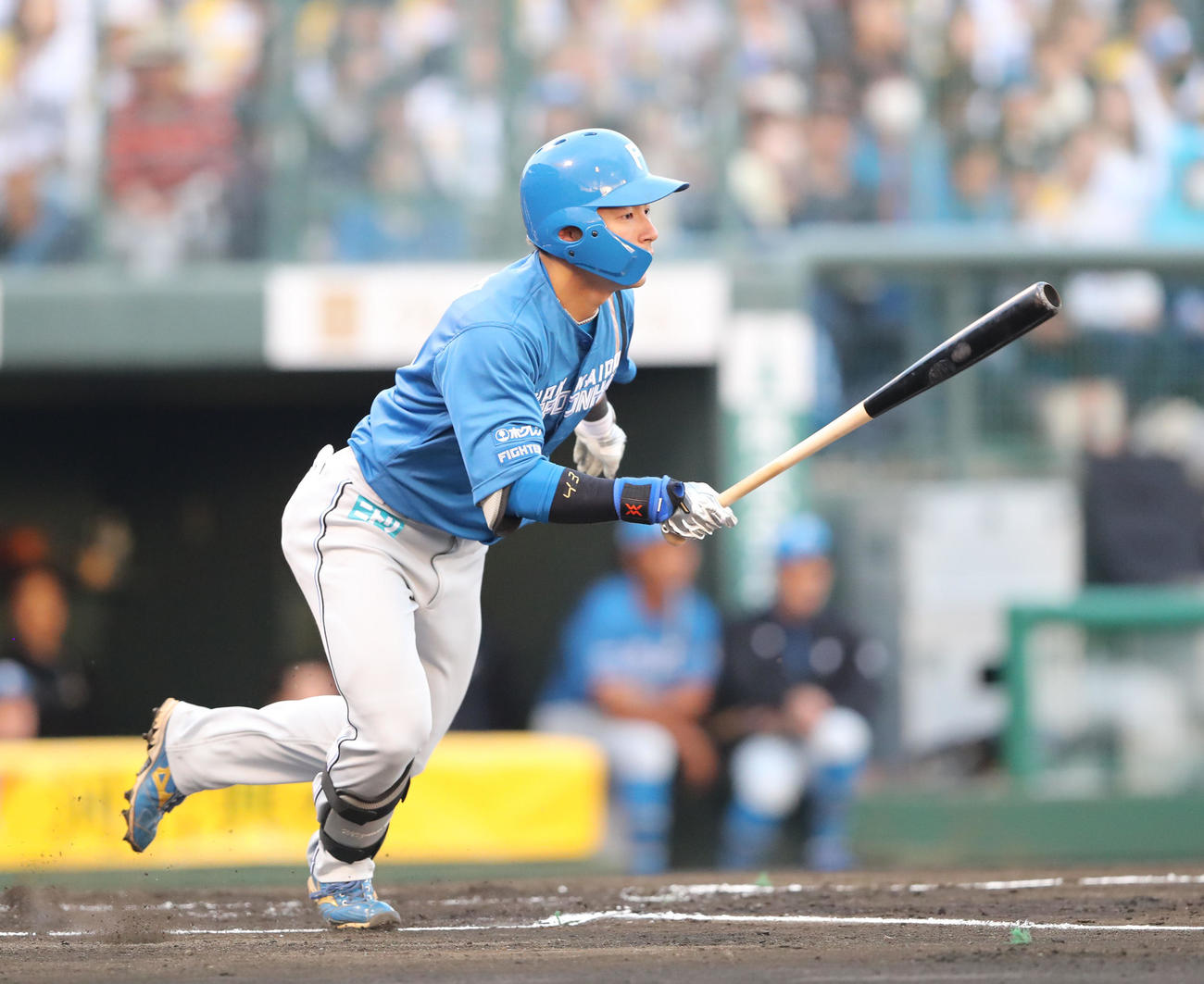 ソフトバンク対日本ハム　1回表日本ハム1死満塁、水野は右前適時打は放つ（撮影・梅根麻紀）