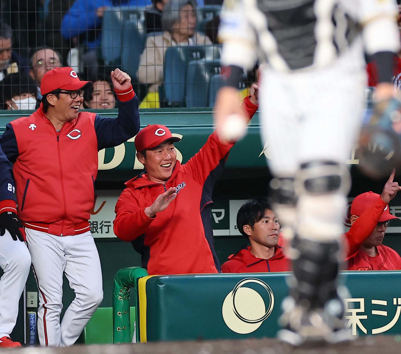 阪神対広島　2回表広島1死一塁、新井監督（中央）は会沢の適時二塁打で笑顔を見せる（撮影・上田博志）