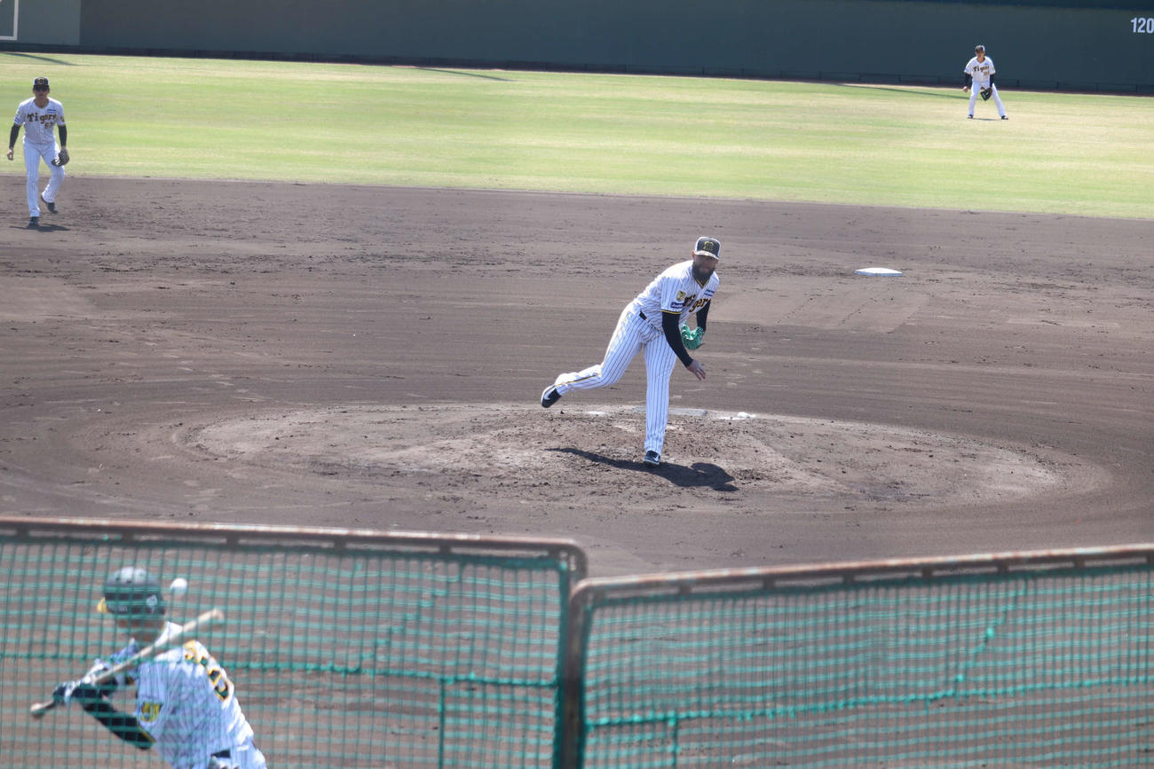 シート打撃に登板した阪神ホセ・ベタンセス投手（撮影・波部俊之介）