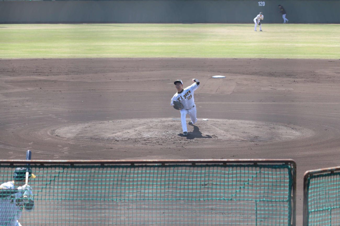 シート打撃に登板した阪神高橋遥人（撮影・波部俊之介）