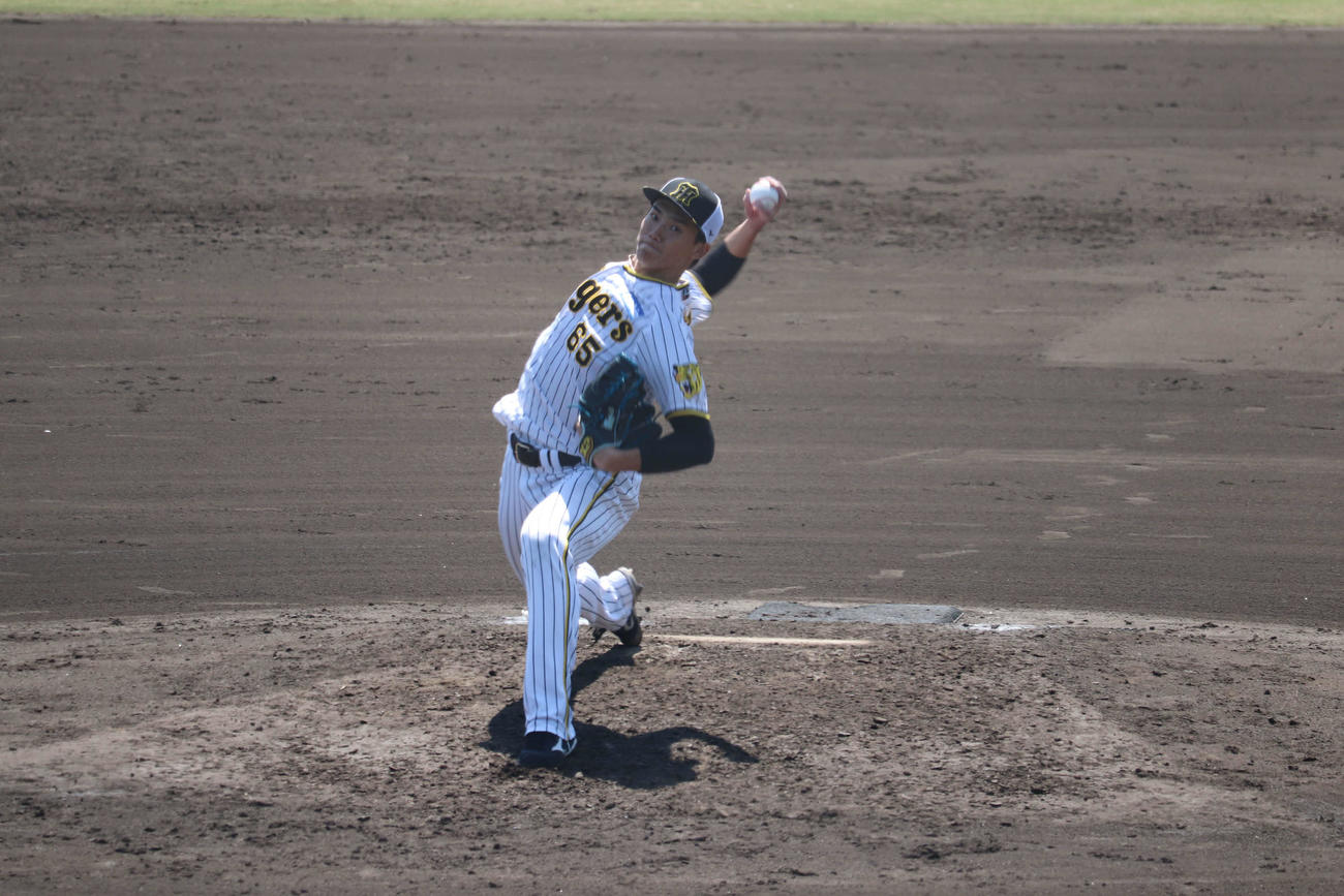 シート打撃に登板した阪神湯浅京己投手（撮影・波部俊之介）