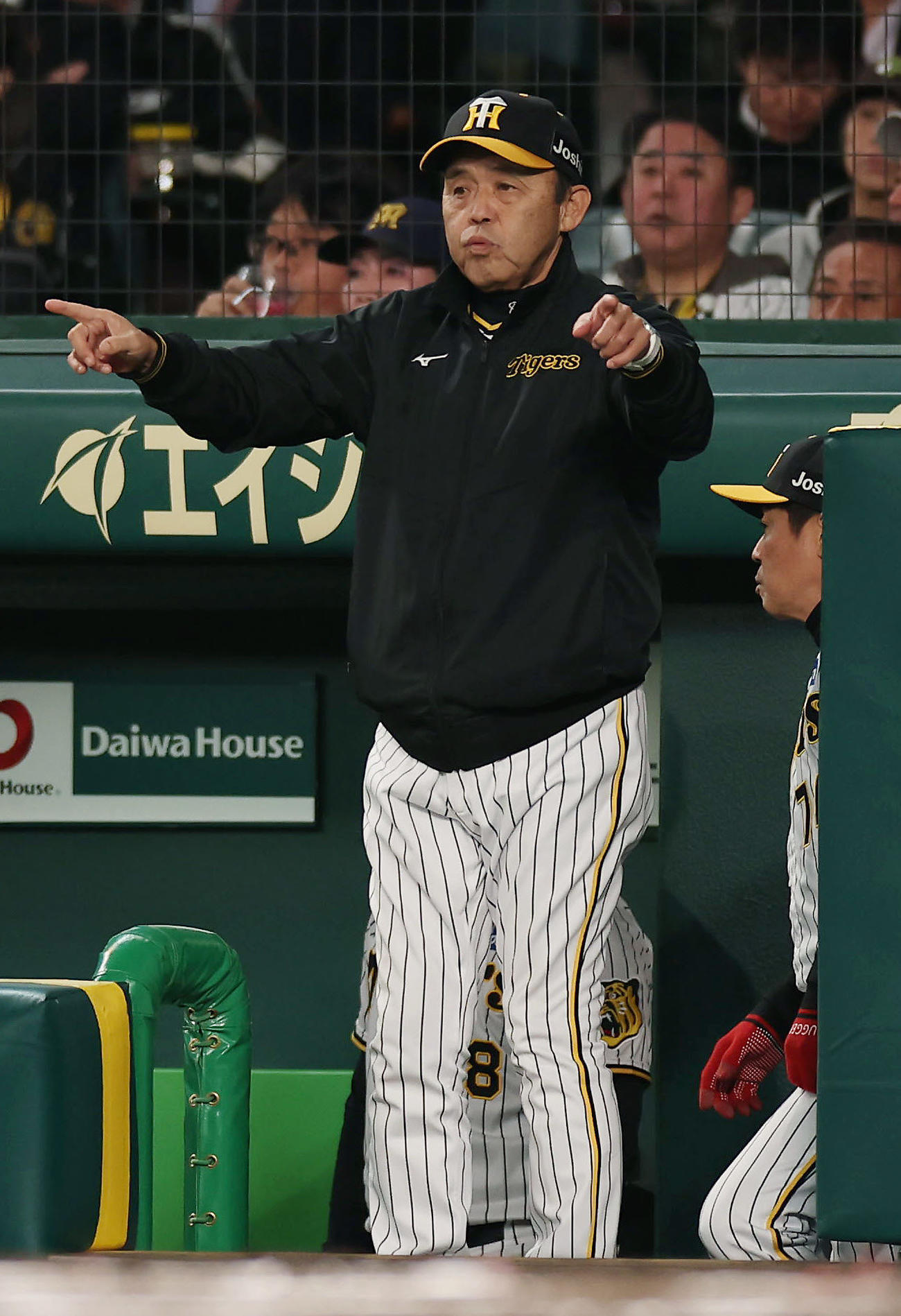 阪神対広島　6回表広島1死、会沢の本塁打に対してリクエストする岡田監督（撮影・前田充）