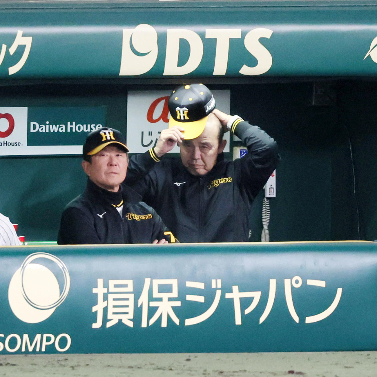 阪神対広島　6回裏、ベンチで帽子をかぶり直す岡田監督。左は平田ヘッドコーチ（撮影・加藤哉）