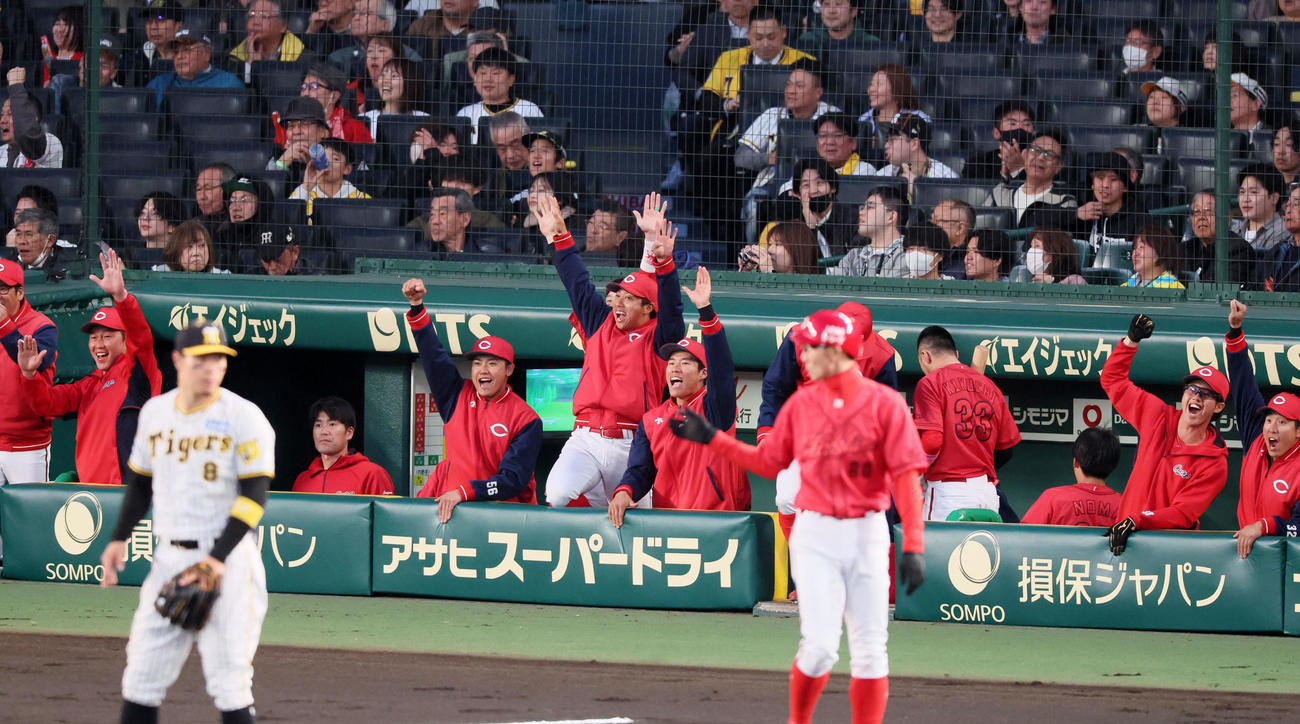阪神対広島　2回表広島1死一塁、会沢の適時二塁打にわく新井監督（左）ら広島ナイン（撮影・加藤哉）