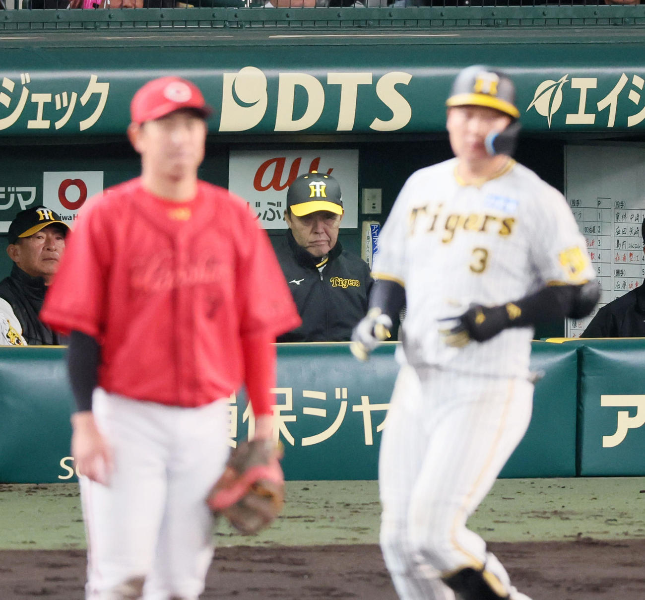 阪神対広島　6回裏阪神1死一塁、ベンチの岡田監督は中飛を打ち上げた大山の打球をじっと見つめる。左は堂林（撮影・加藤哉）