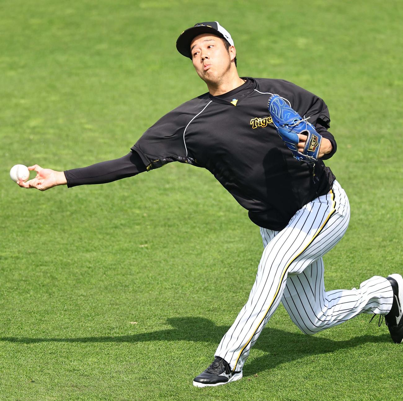 阪神対広島　外野でキャッチボールをする青柳（撮影・上田博志）