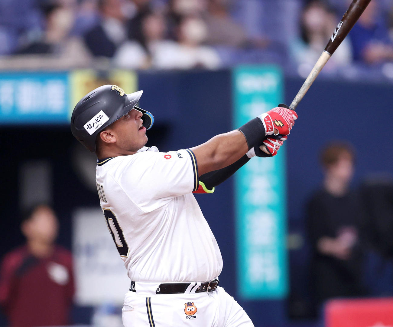 オリックス対楽天　6回裏オリックス1死、セデーニョは同点の左越えソロ本塁打を放つ（撮影・上山淳一）