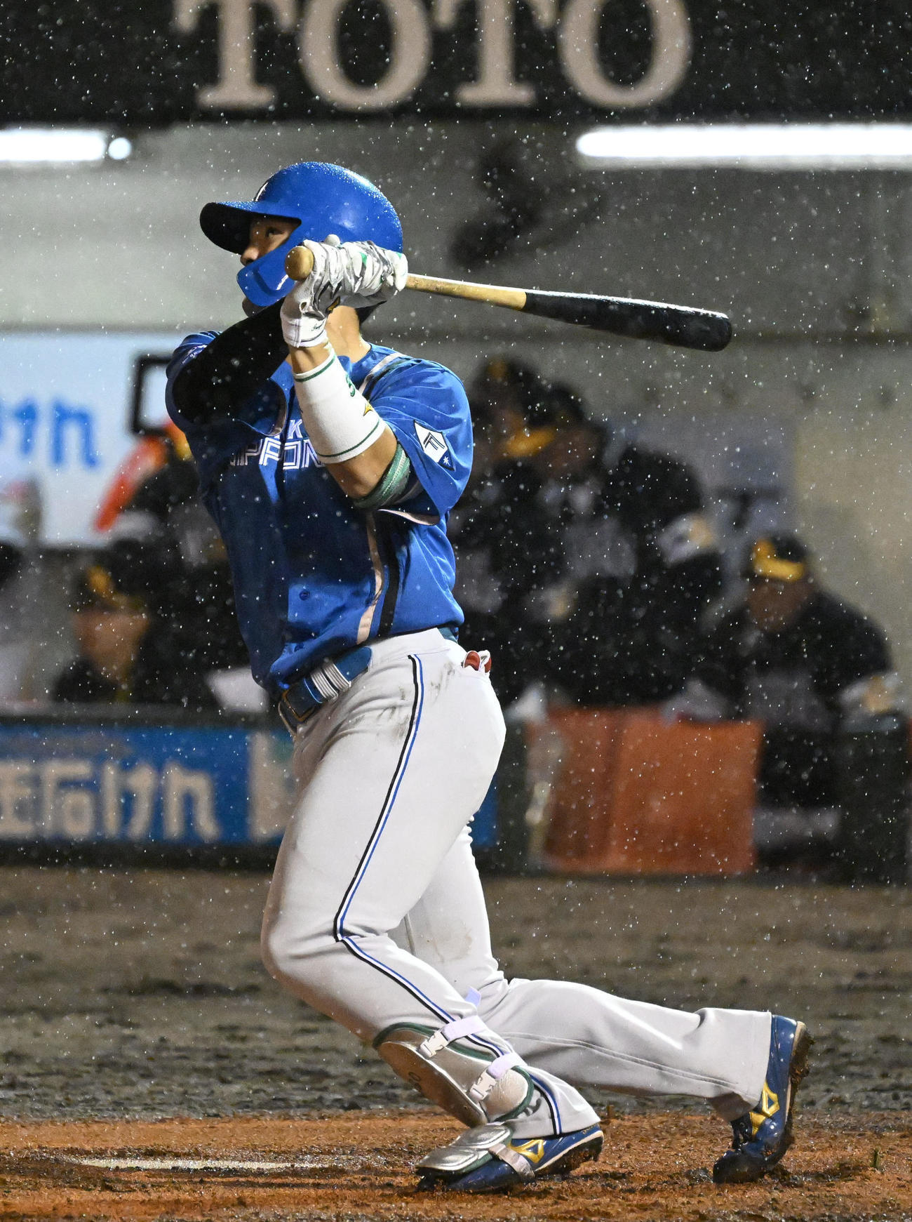 ソフトバンク対日本ハム　3回表日本ハム無死、郡司裕也は本塁打を放つ（撮影・林敢治）