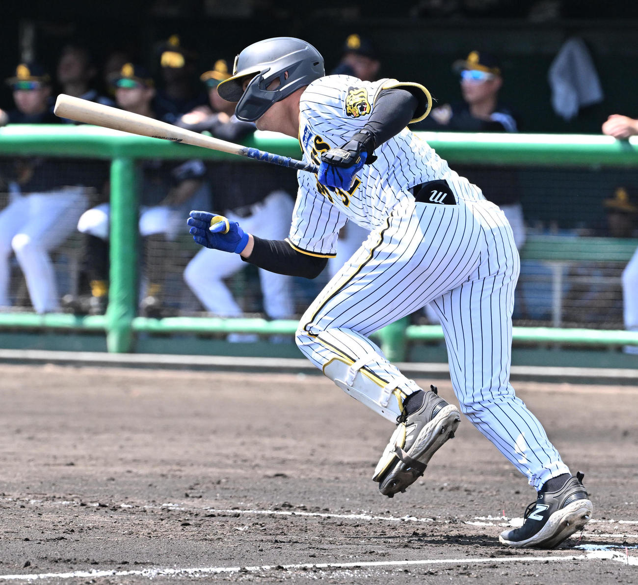 阪神対ソフトバンク　1回裏阪神無死満塁、井上は遊併打を放つ（撮影・石井愛子）