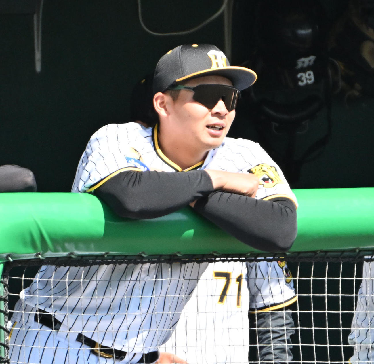 阪神対ソフトバンク　試合を見つめる井上（撮影・石井愛子）