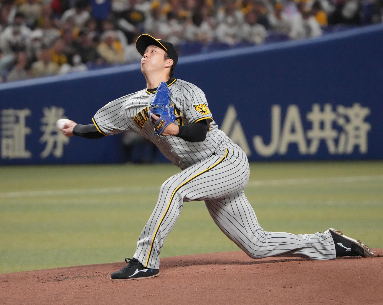 中日対阪神　1回裏、登板する阪神先発の青柳（撮影・森本幸一）