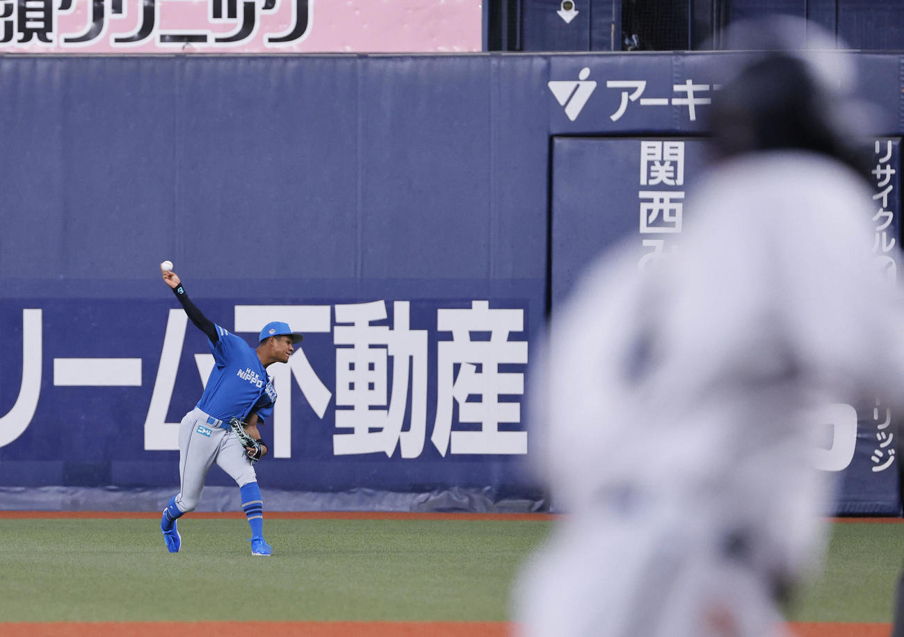 オリックス対日本ハム　2回裏オリックス2死二、三塁、頓宮の右前適時打でホームを狙った二走森を刺す万波（撮影・藤尾明華）