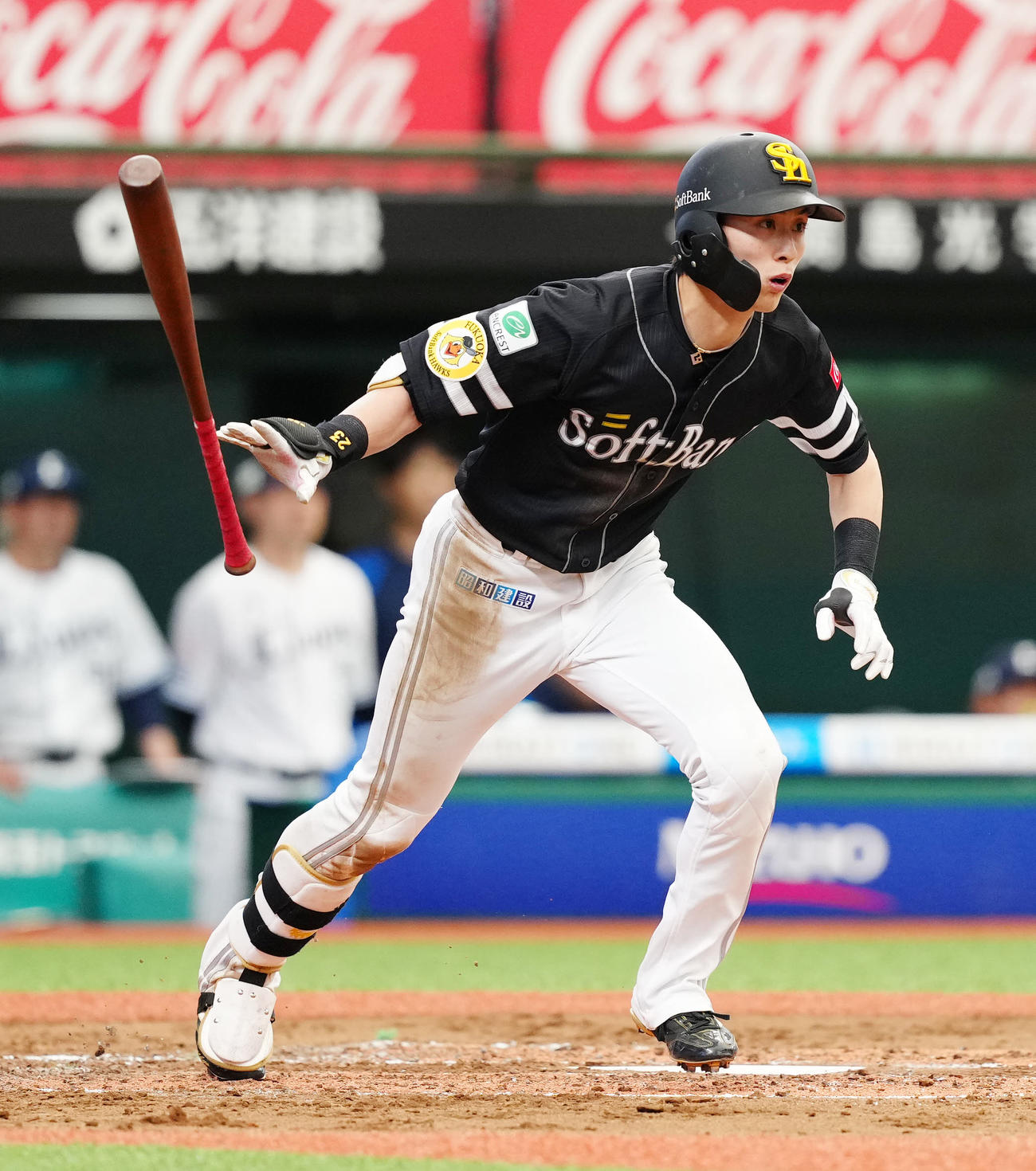 西武対ソフトバンク　3回表ソフトバンク無死、右前打を放つ周東（撮影・江口和貴）