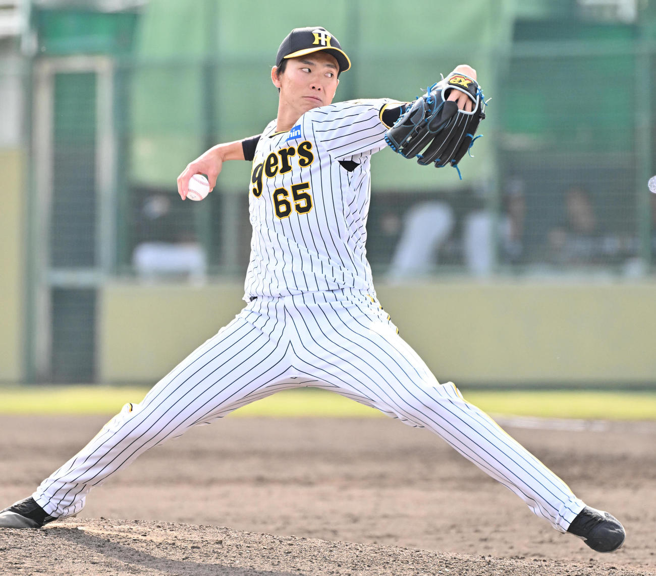 阪神対ソフトバンク　阪神6番の湯浅（撮影・石井愛子）