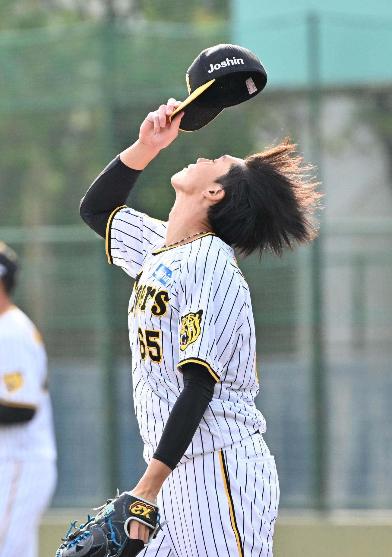 阪神対ソフトバンク　阪神6番の湯浅（撮影・石井愛子）