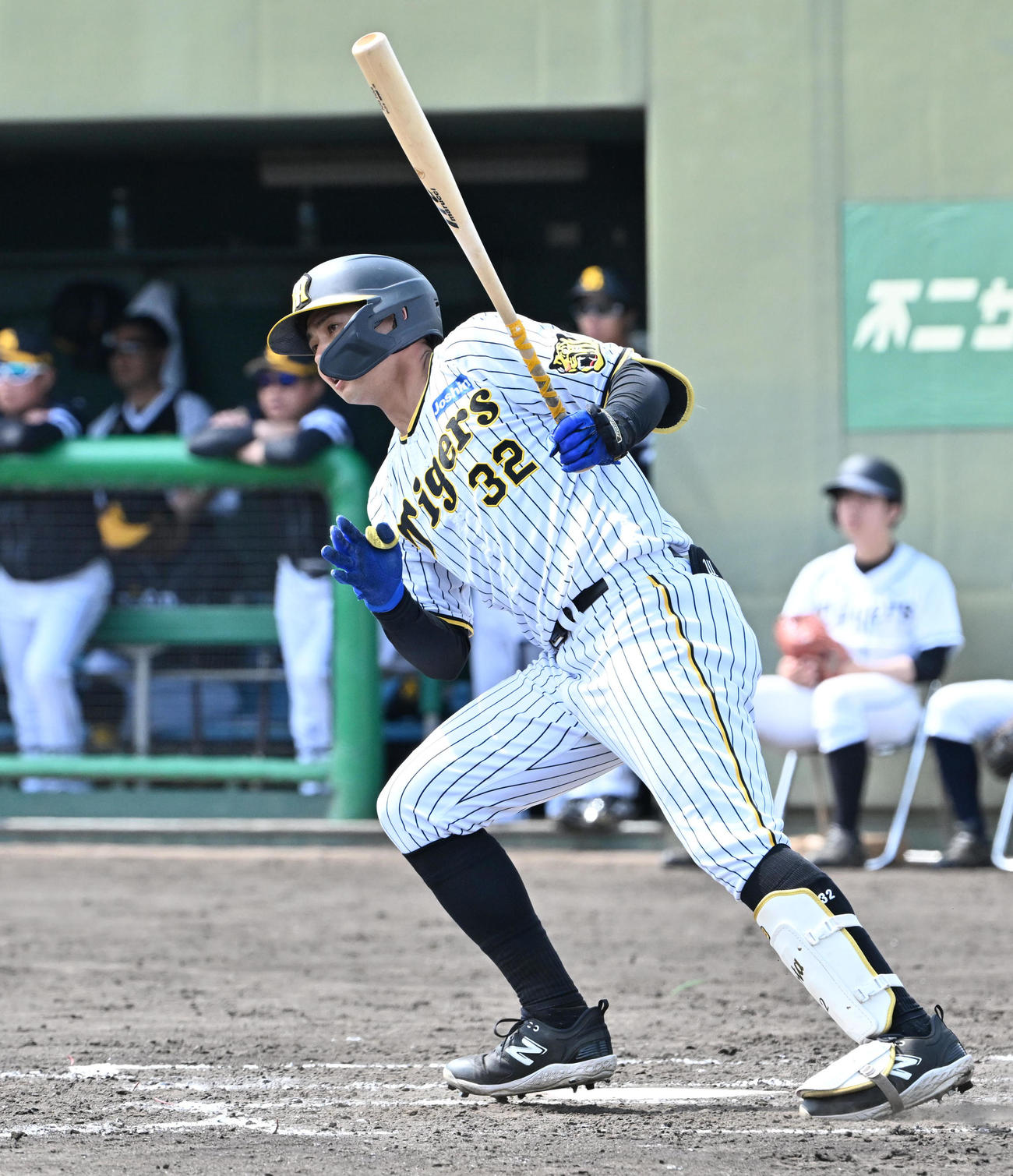 阪神対ソフトバンク　4回裏阪神1死三塁、井上は左適時打を放つ（撮影・石井愛子）