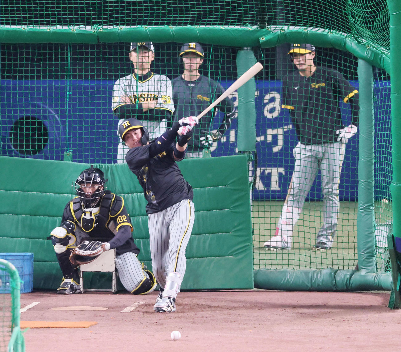 中日対阪神　大幅な打順入れ替えを行った阪神。木浪（右）、梅野が1，2番コンビを組む（撮影・加藤哉）