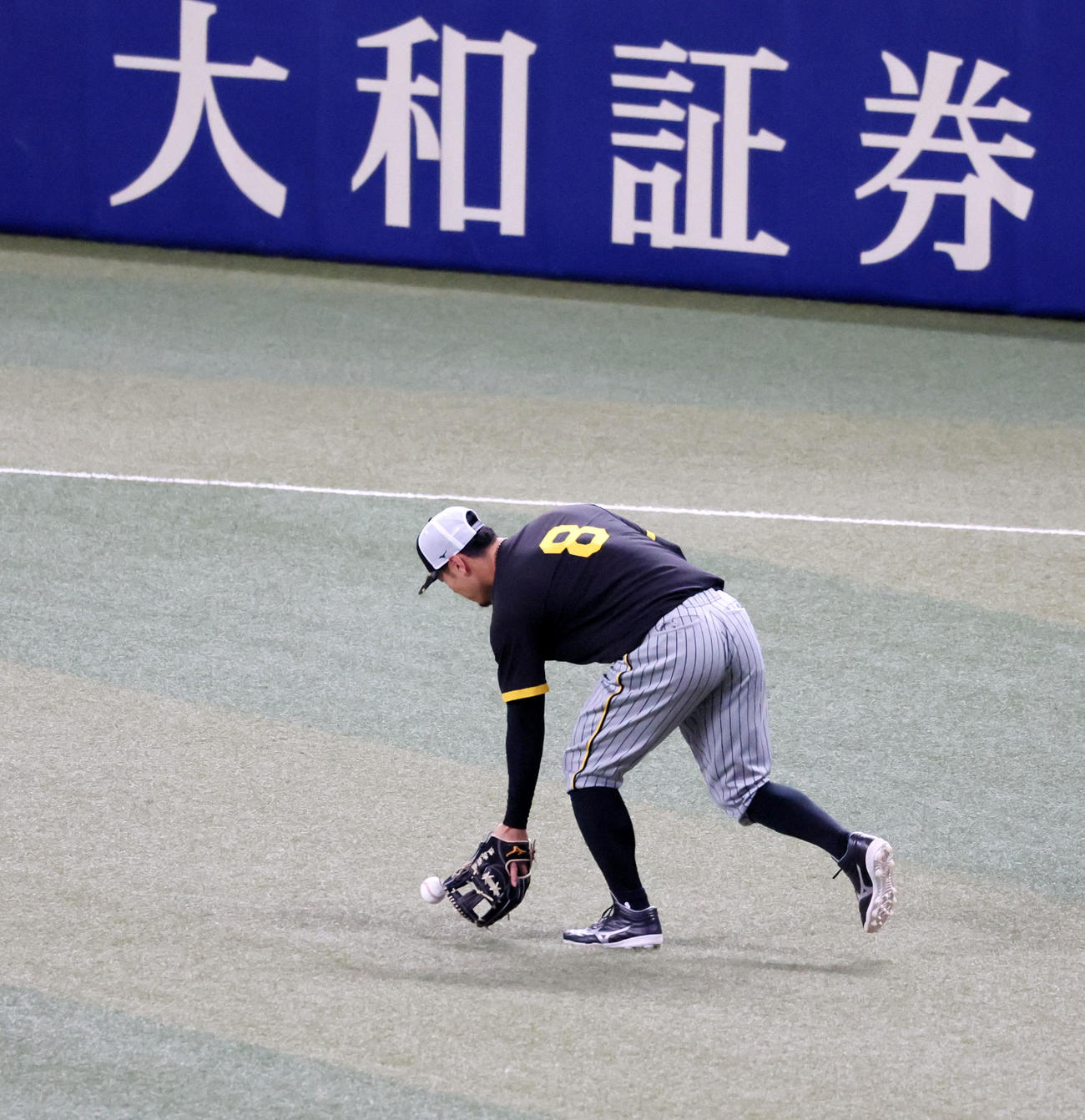 中日対阪神　練習で左翼から返球する佐藤輝（撮影・加藤哉）