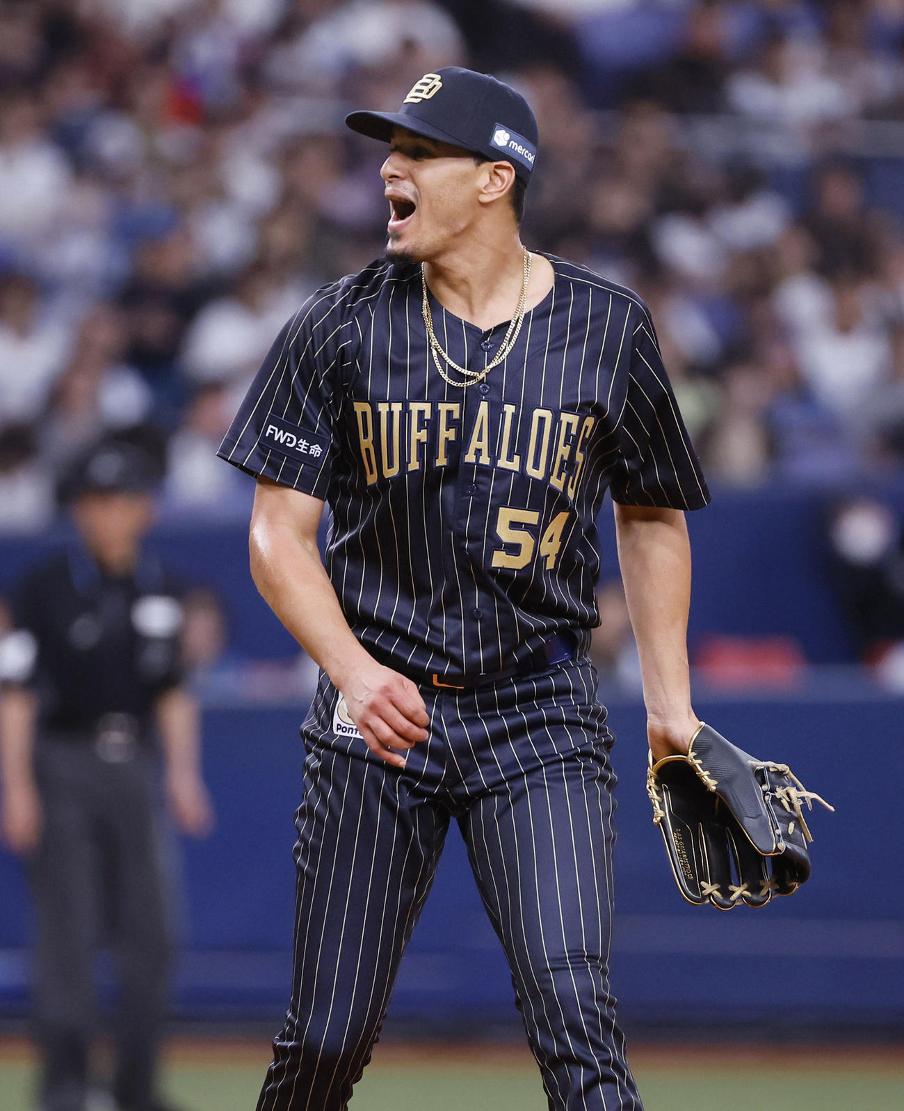 オリックス対日本ハム　6回表日本ハム1死、打者マルティネスのとき、ボールの判定に声をあげるカスティーヨ（撮影・藤尾明華）