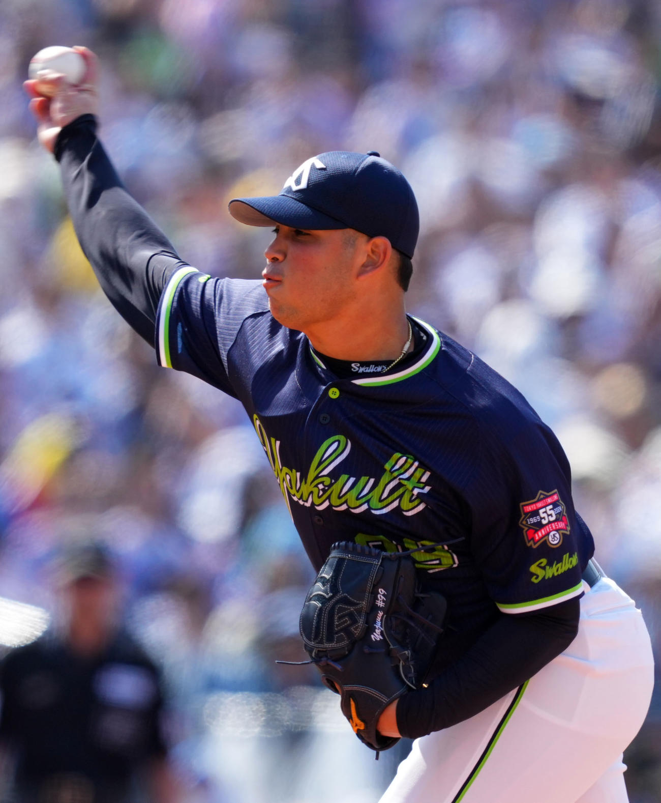 DeNA対ヤクルト　力投するヤクルト先発のヤフーレ（撮影・横山健太）