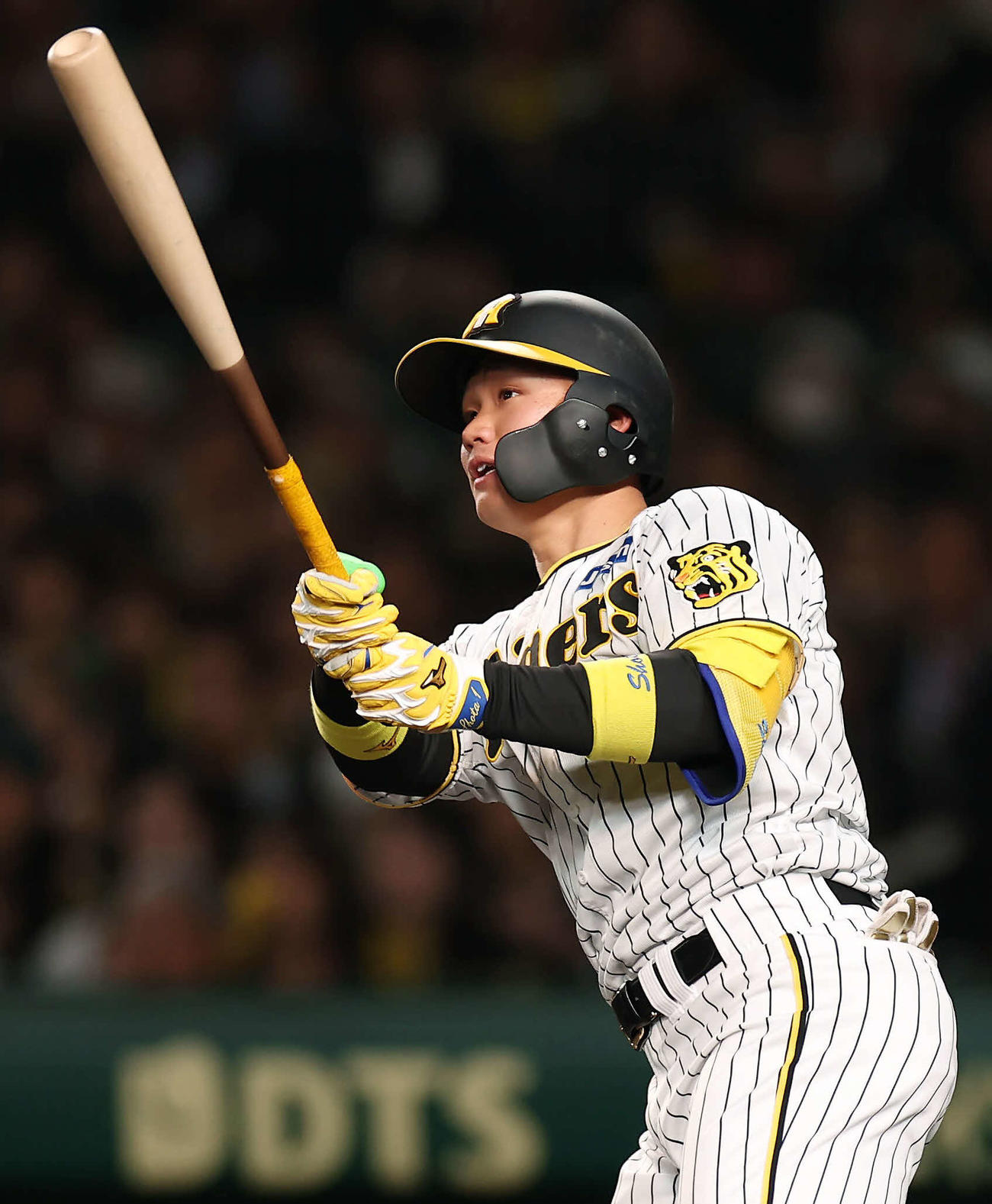 阪神森下翔太（24年4月9日撮影）