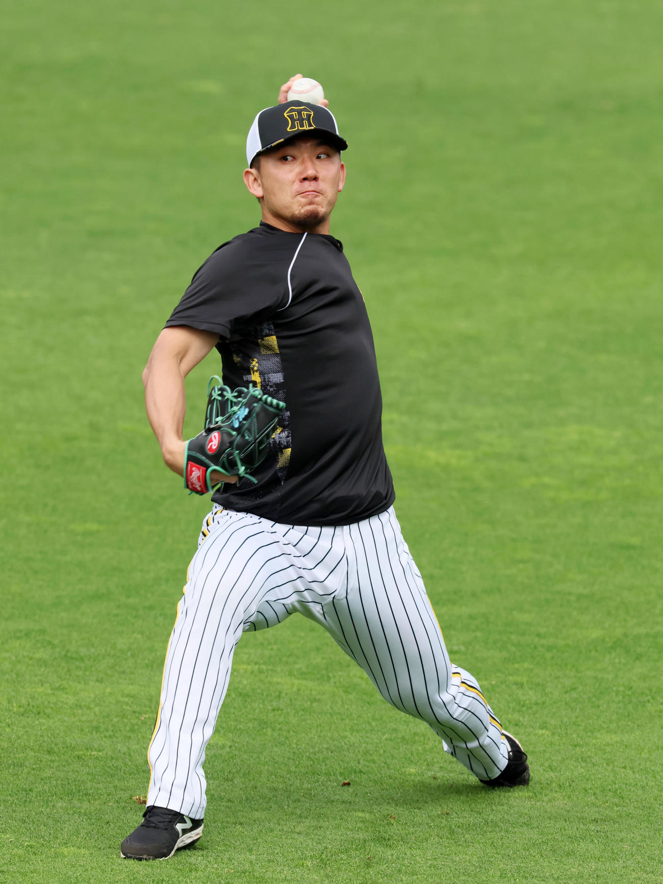 阪神対巨人　練習でキャッチボールする伊藤将（撮影・加藤哉）