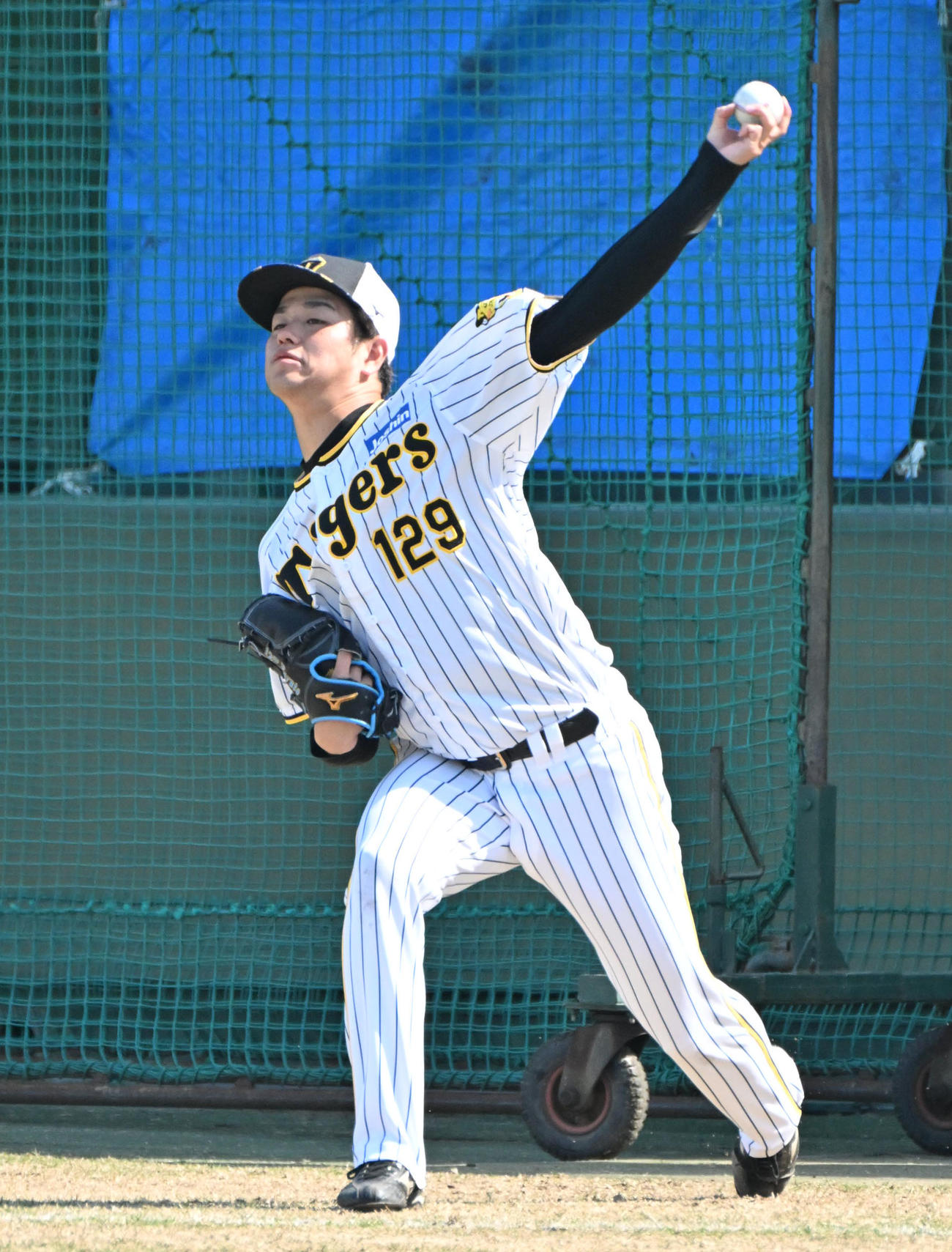 阪神高橋遥人（2024年4月14日撮影）