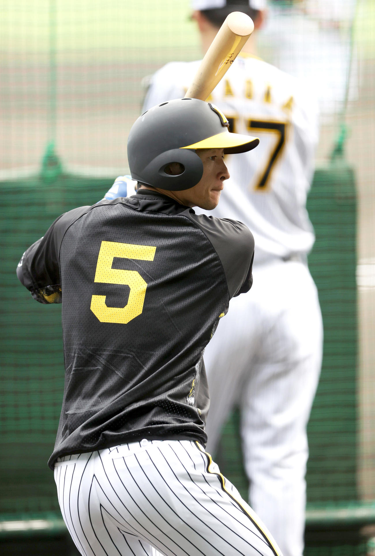 阪神対巨人　試合前の練習で汗を流す阪神近本（撮影・上山淳一）