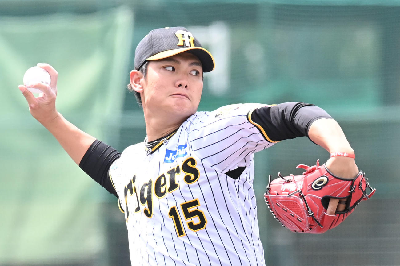 阪神対オリックス　阪神先発の西純（撮影・滝沢美穂子）