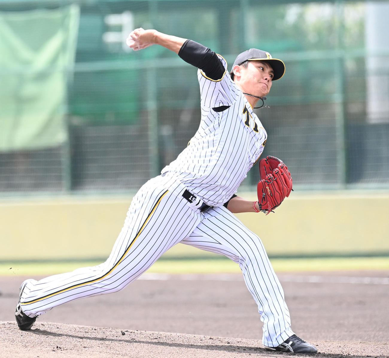 阪神対オリックス　阪神先発の西純（撮影・滝沢美穂子）