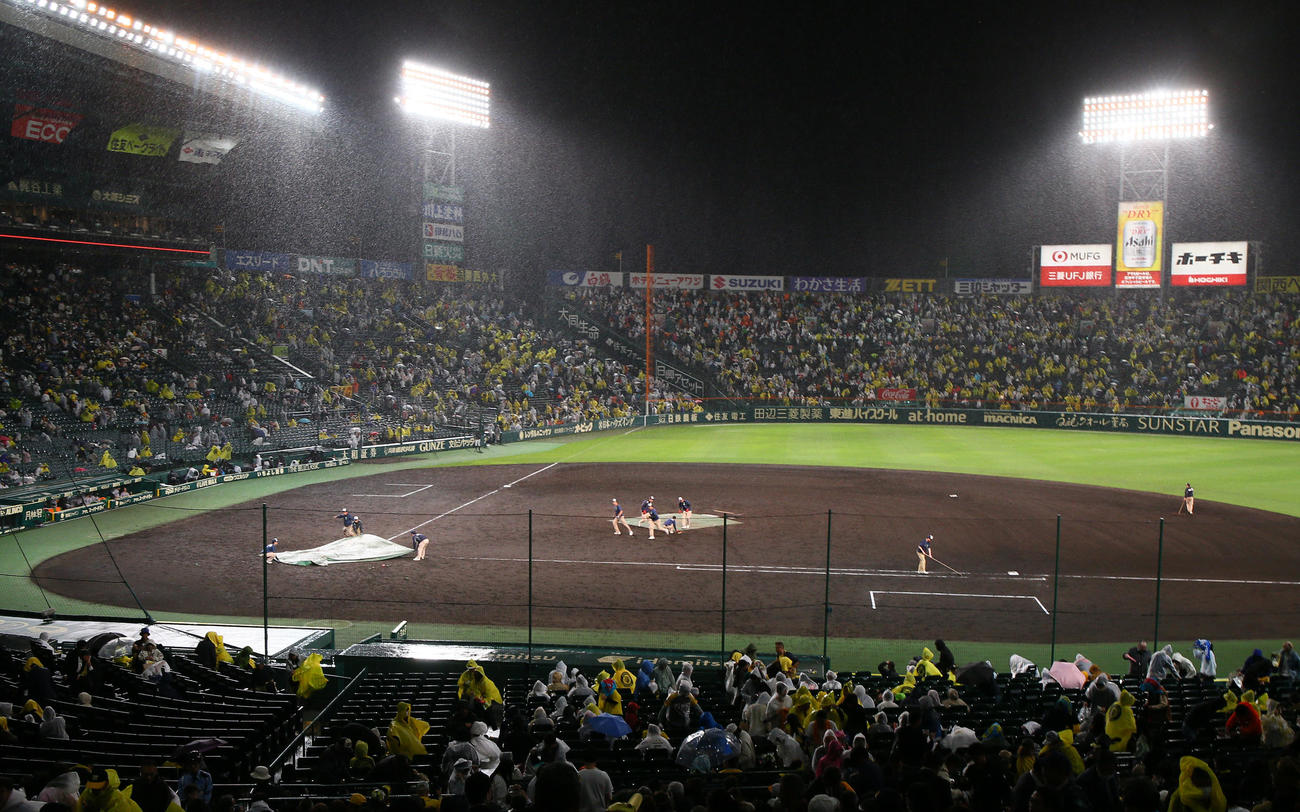 阪神対巨人　延長10回を前に雨でシートがかけられる甲子園球場（撮影・上山淳一）