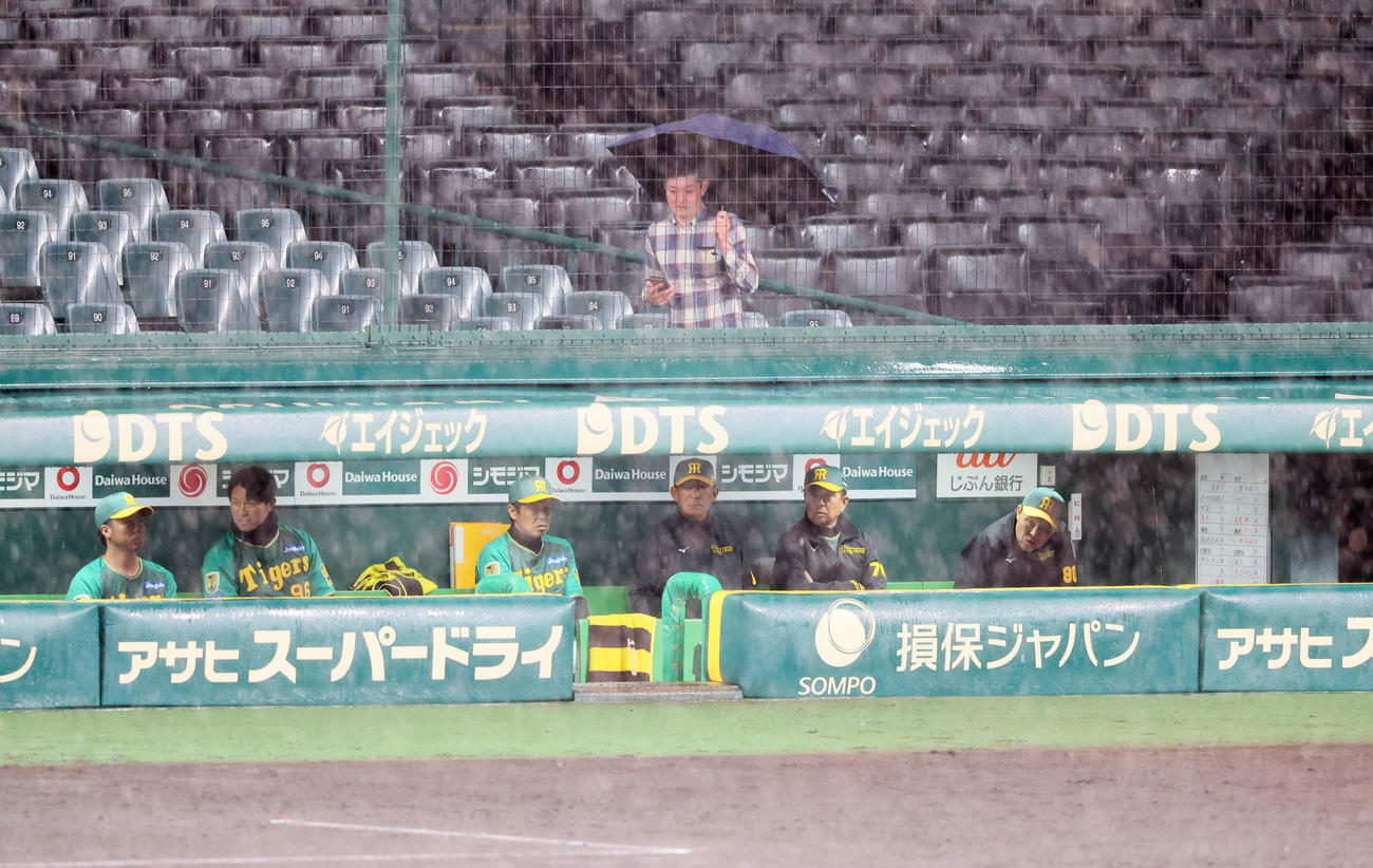 阪神対巨人　10回表、雨で中断となりベンチで待機する岡田監督（右端）ら阪神ナイン（撮影・加藤哉）