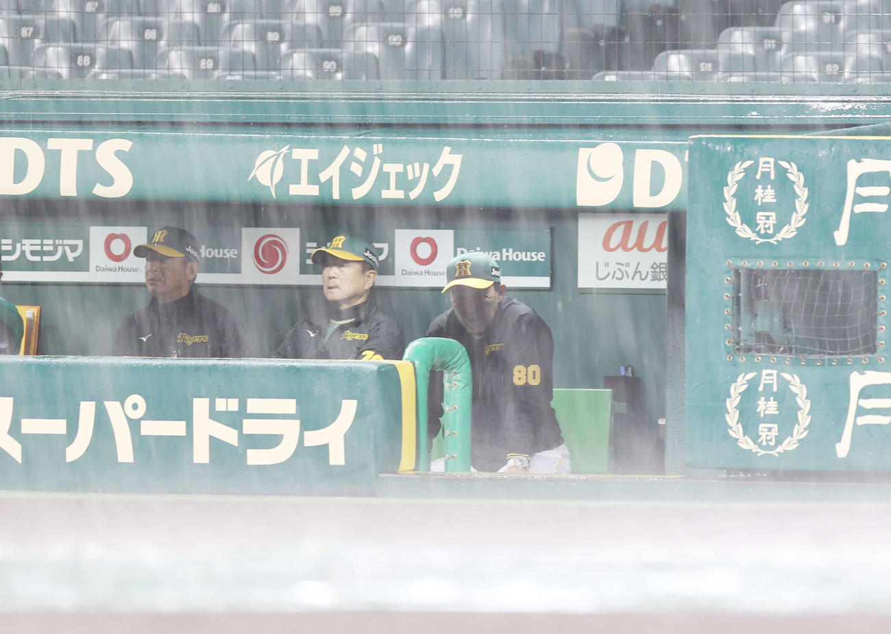 阪神対巨人　9回裏を終え、ベンチから豪雨を見つめる阪神岡田監督（右）（撮影・河野匠）