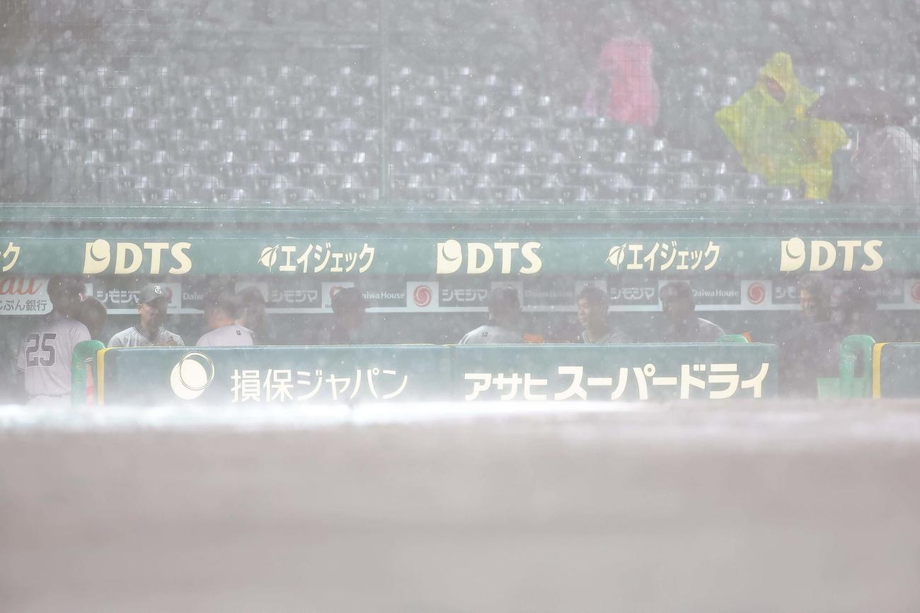 阪神対巨人　雷雨コールドとなりベンチを引き揚げる巨人ナイン（撮影・上田博志）