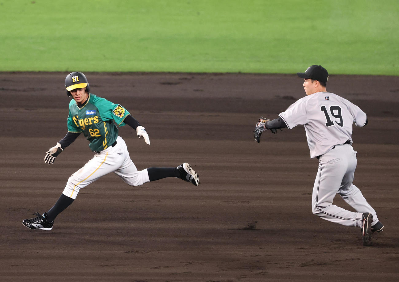 阪神対巨人　7回裏阪神1死二塁、二走植田（左）は木浪の投ゴロで二、三塁間で挟まるも山崎伊をかわし三塁へ進む（撮影・上山淳一）