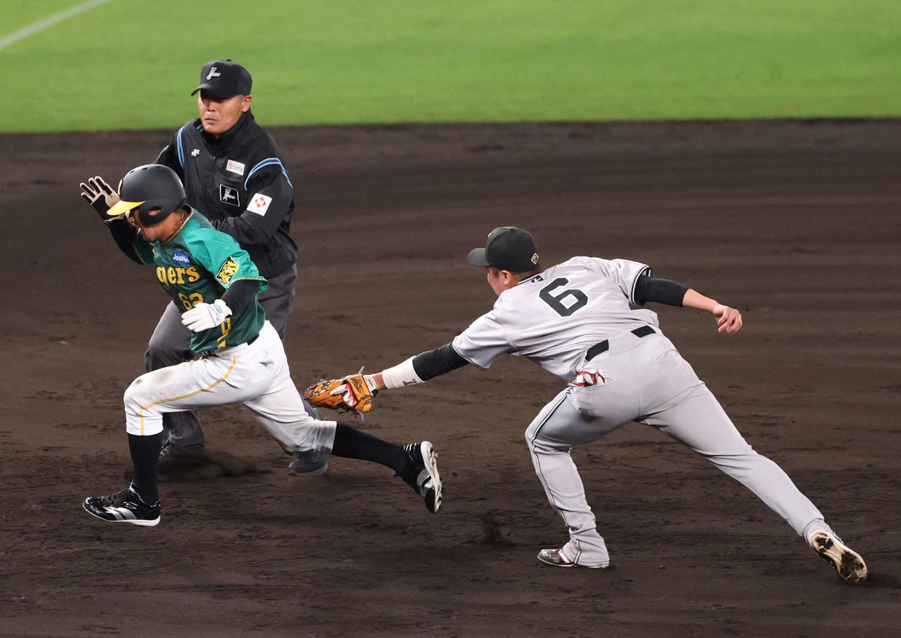 阪神対巨人　7回裏阪神1死二塁、二走植田（左）は木浪の投ゴロで二、三塁間で挟まれるも三塁手坂本のタッチをかわし三塁へ進む（撮影・上山淳一）