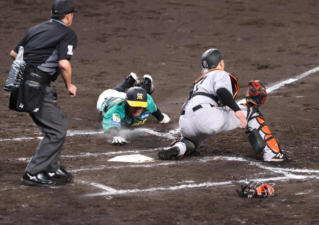 阪神対巨人　7回裏阪神1死二、三塁、三走植田（中央）は代打糸原の右犠飛で生還する。捕手岸田（撮影・上山淳一）