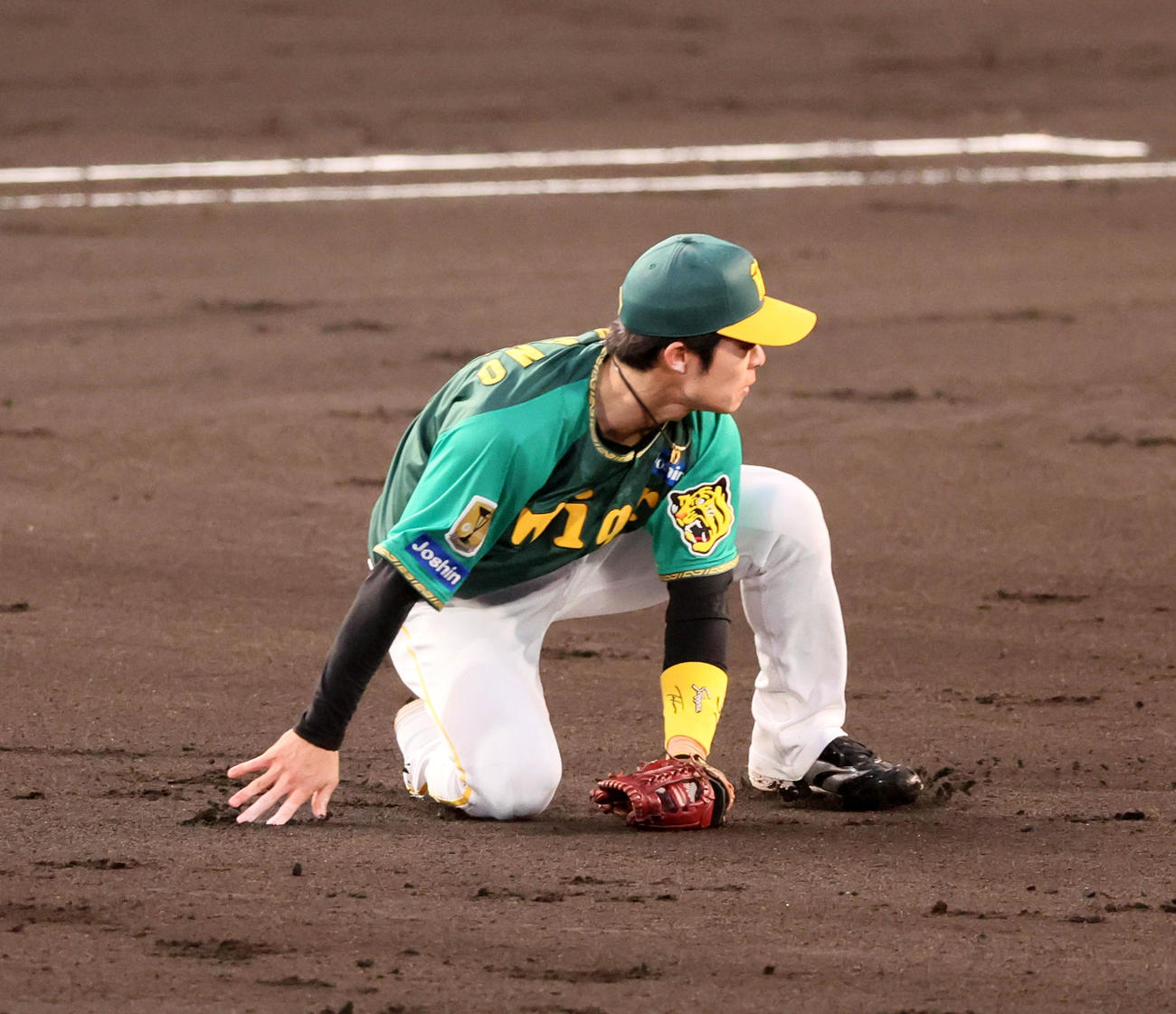 阪神対巨人　2回表巨人1死三塁、中野は吉川の打球を捕球し本塁へ送球（撮影・加藤哉）