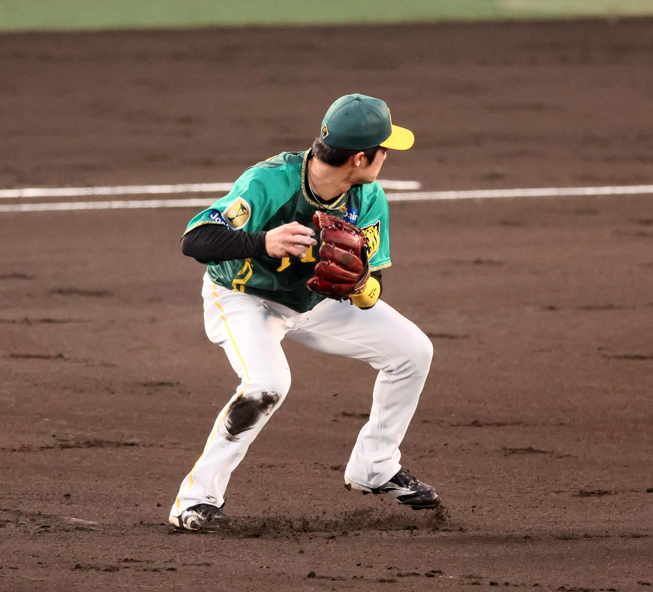 阪神対巨人　2回表巨人1死三塁、中野は吉川の打球を捕球し本塁へ送球（撮影・加藤哉）
