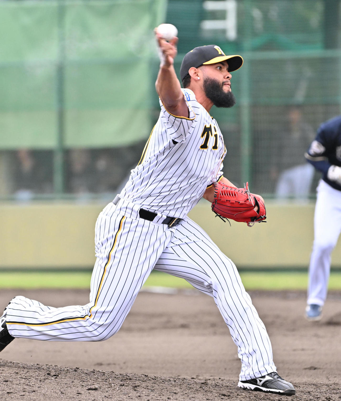 阪神対オリックス　阪神3番手のベタンセス（撮影・石井愛子）