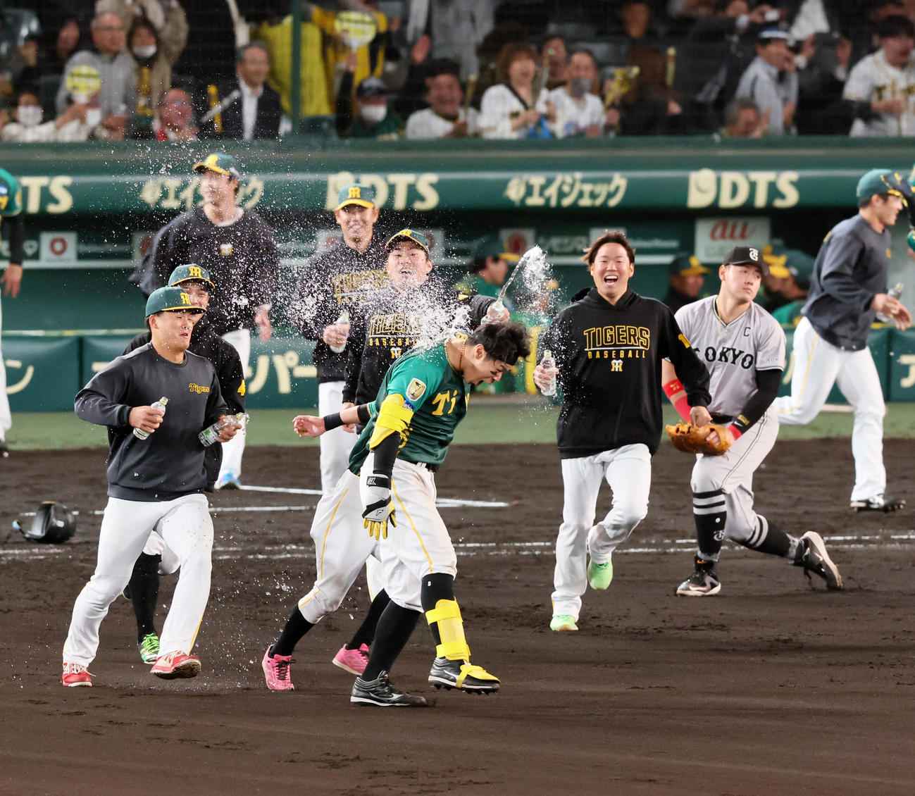 阪神対巨人　10回裏阪神無死満塁、サヨナラ右適時打を放った佐藤輝（中央）はチームメートに祝福のウオーターシャワーをかけられる（撮影・加藤哉）