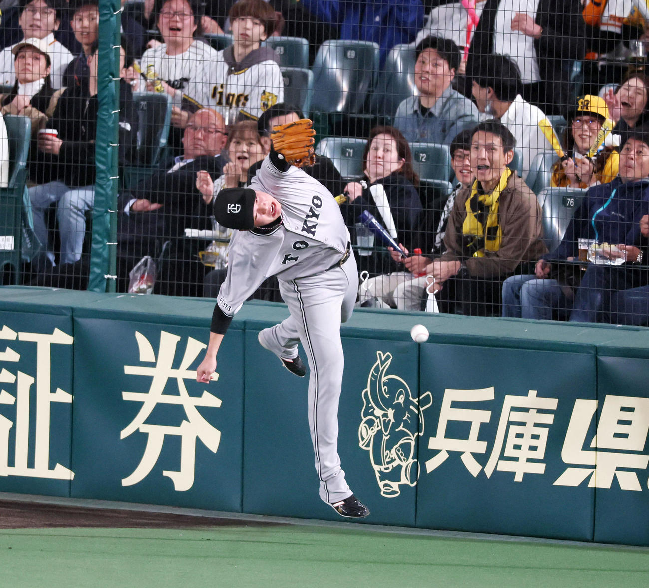 阪神対巨人　8回裏阪神2死一、二塁、坂本は佐藤輝の邪飛を追ったが捕球出来ず（撮影・加藤哉）