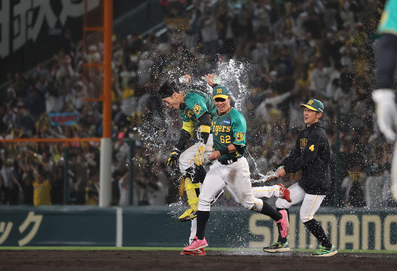 阪神対巨人　10回裏阪神無死満塁、右前にサヨナラ安打を放った佐藤輝（左）は水をかけられ祝福される（撮影・河野匠）