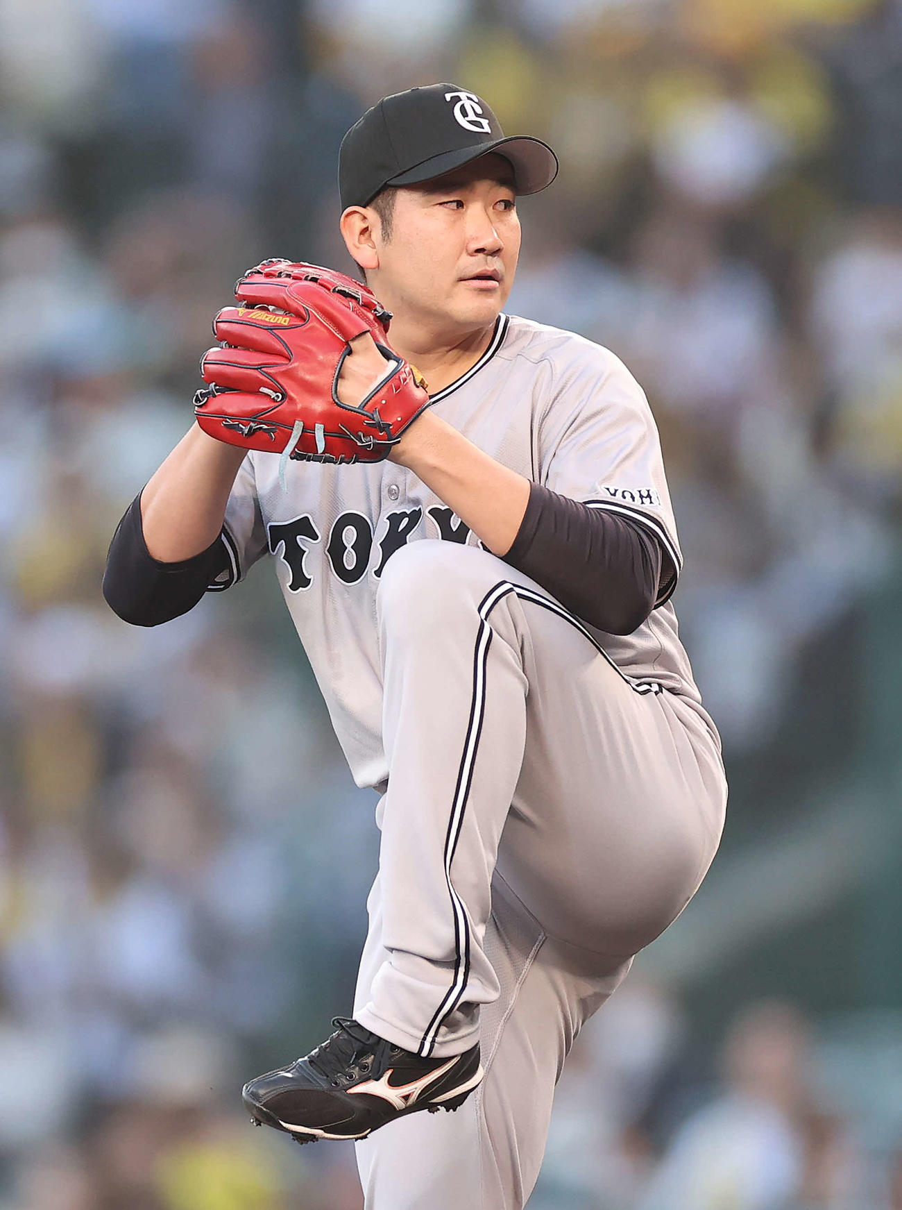 阪神対巨人　力投する巨人先発の菅野（撮影・河野匠）